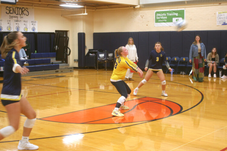 Lakes volleyball sails past Blue Bolts, 3